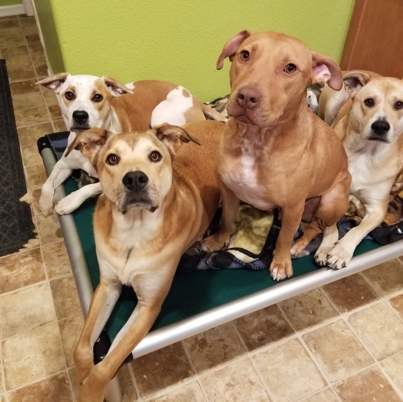 Meet your Posher, Jenn - Picture 16 of 16